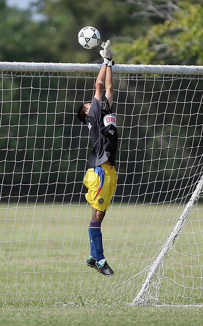 鲍威尔和博 鲍威尔和博