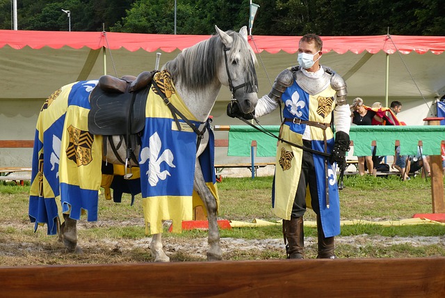 质与职业素 质与职业素