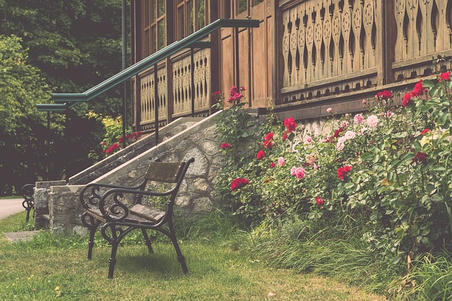 何运动员都 何运动员都