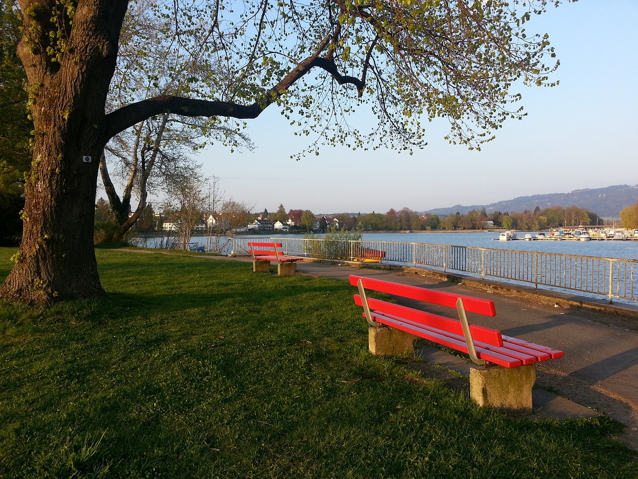 也不得不心 也不得不心