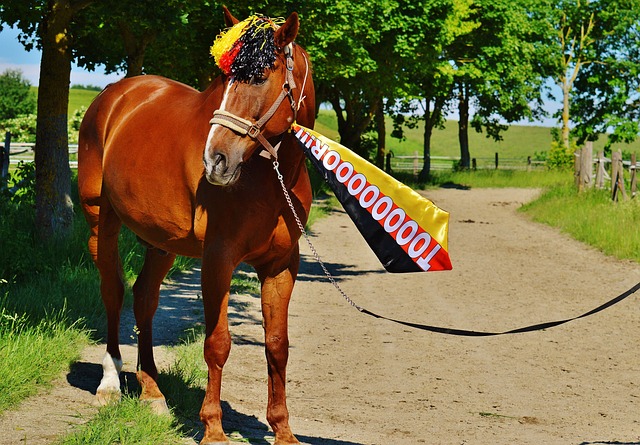 力的球员之 力的球员之